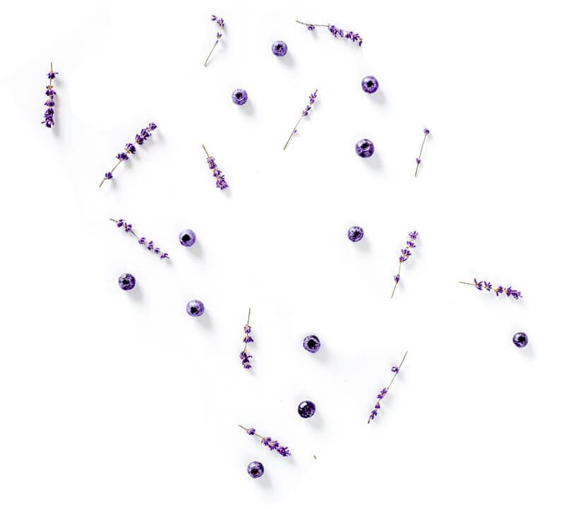 flower1Lila Lavendelblüten auf weißem Hintergrund.