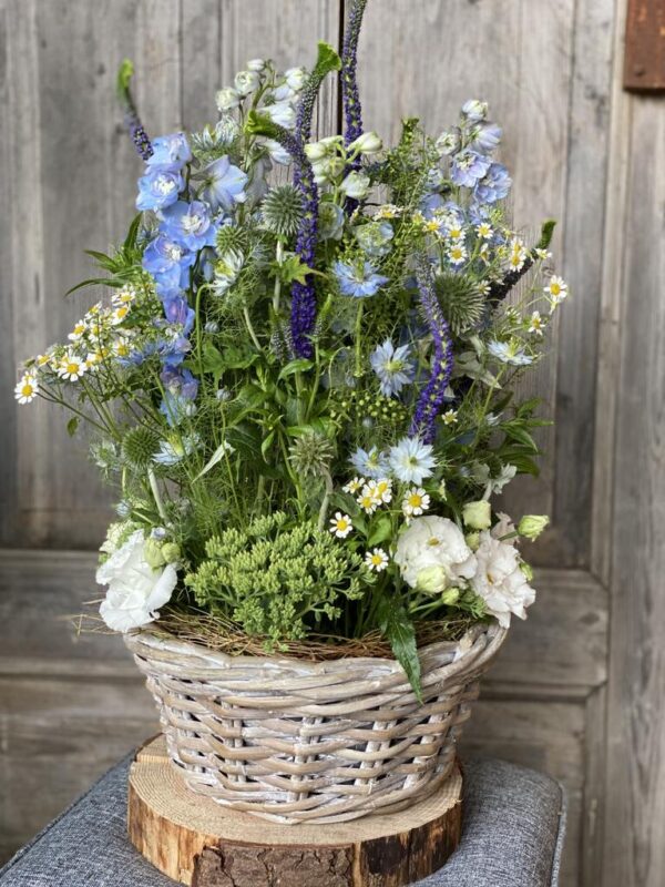 Blumen im Gefäß Exklusiv