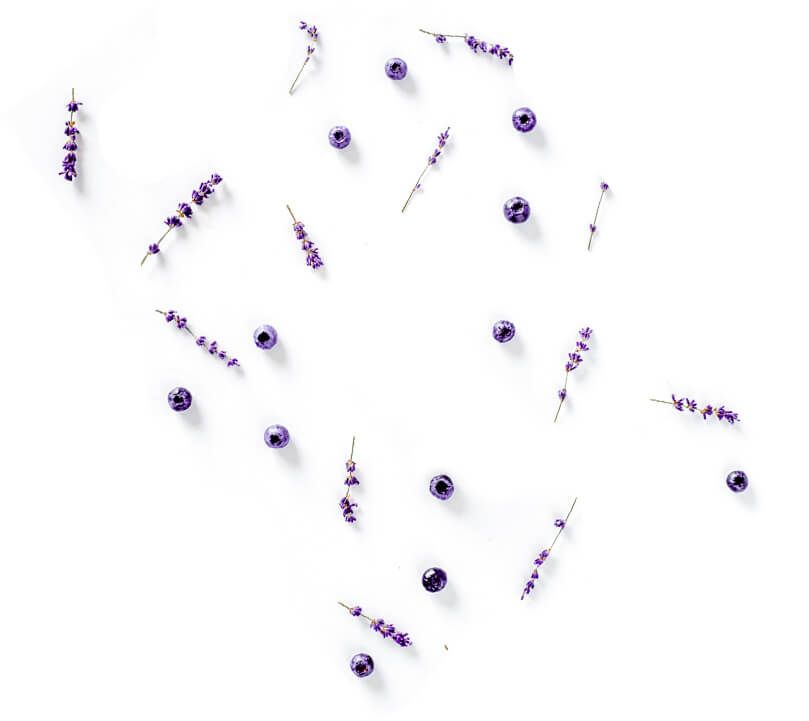 Lila Lavendelblüten auf weißem Hintergrund.